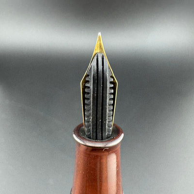 Ideal Ebonite Eyedropper Ancient Coins Fountain Pen 14K Gold Extra-Fine Nib