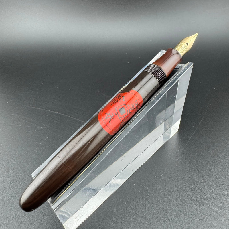 Ideal Ebonite Eyedropper Ancient Coins Fountain Pen 14K Gold Extra-Fine Nib