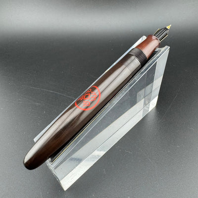 Ideal Ebonite Eyedropper Ancient Coins Fountain Pen 14K Gold Extra-Fine Nib