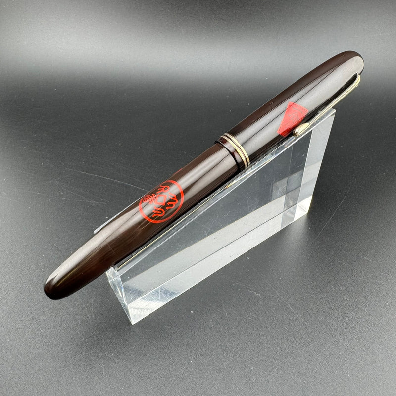 Ideal Ebonite Eyedropper Ancient Coins Fountain Pen 14K Gold Extra-Fine Nib