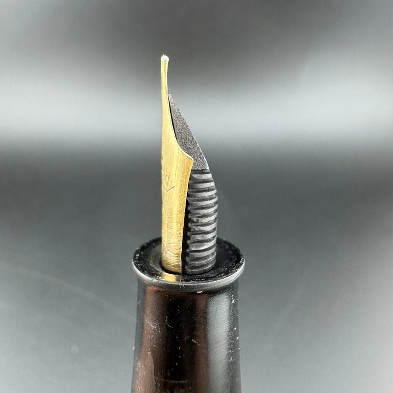 Steady Ebonite Eyedropper Fountain Pen 14K Gold Extra-Fine Nib