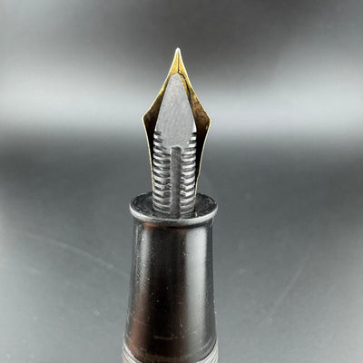 Steady Ebonite Eyedropper Fountain Pen 14K Gold Extra-Fine Nib