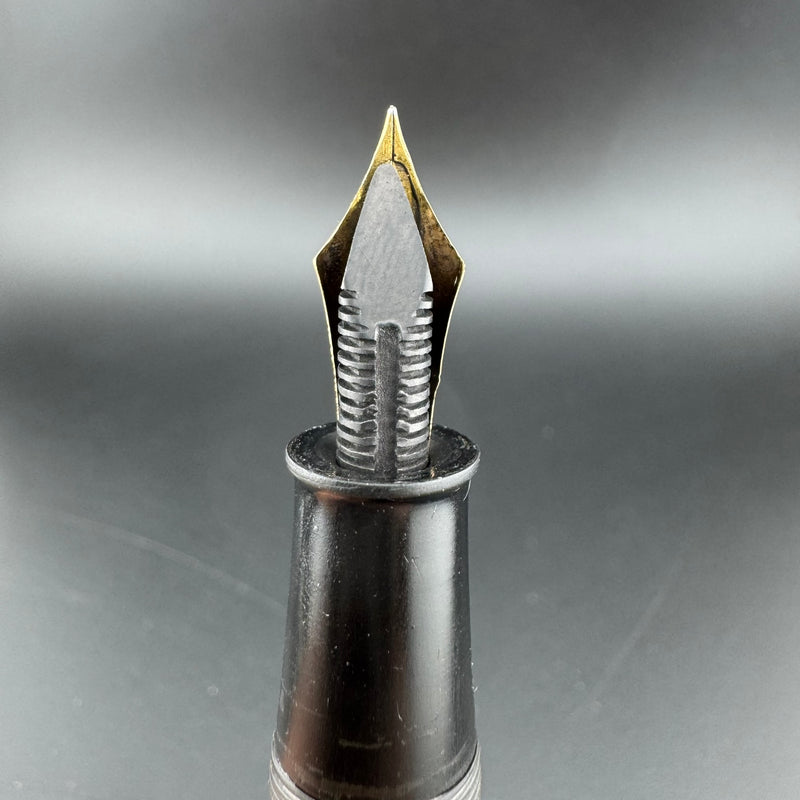 Steady Ebonite Eyedropper Fountain Pen 14K Gold Extra-Fine Nib