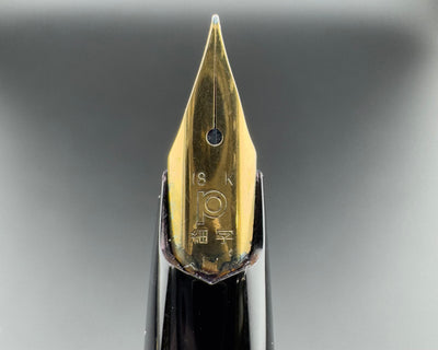 Platinum Black Resin Pocket Fountain Pen 18K Gold F Nib