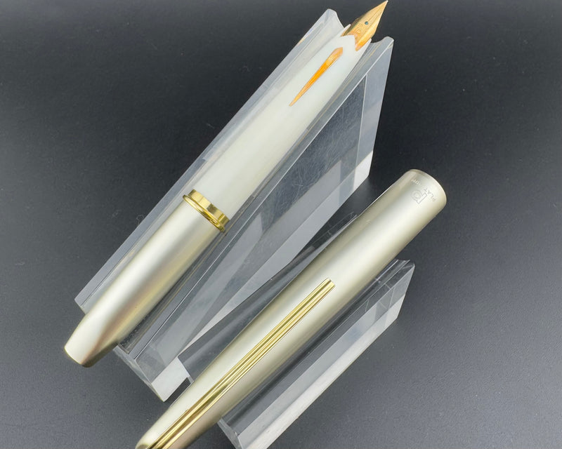 Platinum Deluxe Silver Pocket Fountain Pen 18K Gold SF Soft-Fine Nib Zogan Inlay