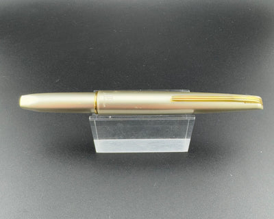 Platinum Deluxe Silver Pocket Fountain Pen 18K Gold SF Soft-Fine Nib Zogan Inlay