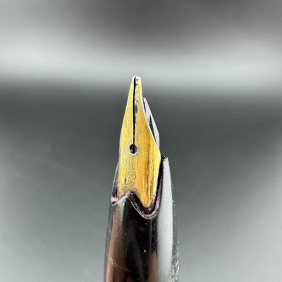 Platinum Pocket Fountain Pen 18K Gold Soft-Fine Nib