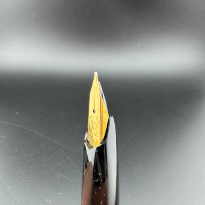 Platinum Pocket Fountain Pen 18K Gold Fine Nib