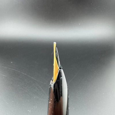 Platinum Pocket Fountain Pen 18K Gold Fine Nib