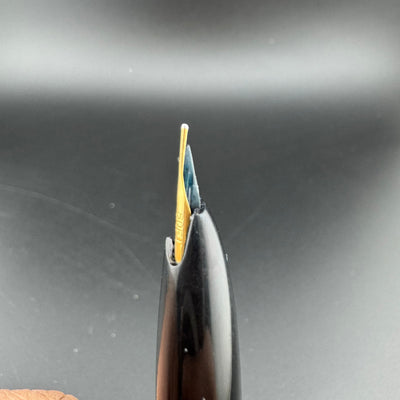 Platinum Pocket Fountain Pen 18K Gold Soft-Fine Nib