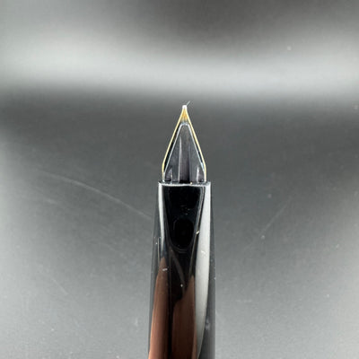 Platinum Black & Gold Pocket Fountain Pen 14K Gold Fine Nib