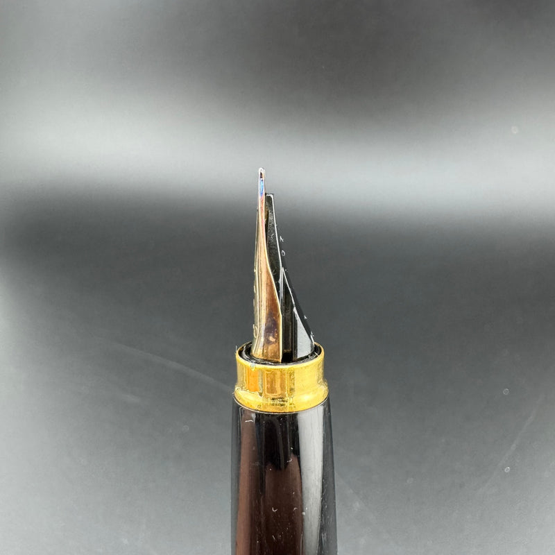 Platinum Black & Gold Pocket Fountain Pen 14K Gold MUSIC Nib