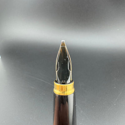 Platinum Black & Gold Pocket Fountain Pen 14K Gold MUSIC Nib