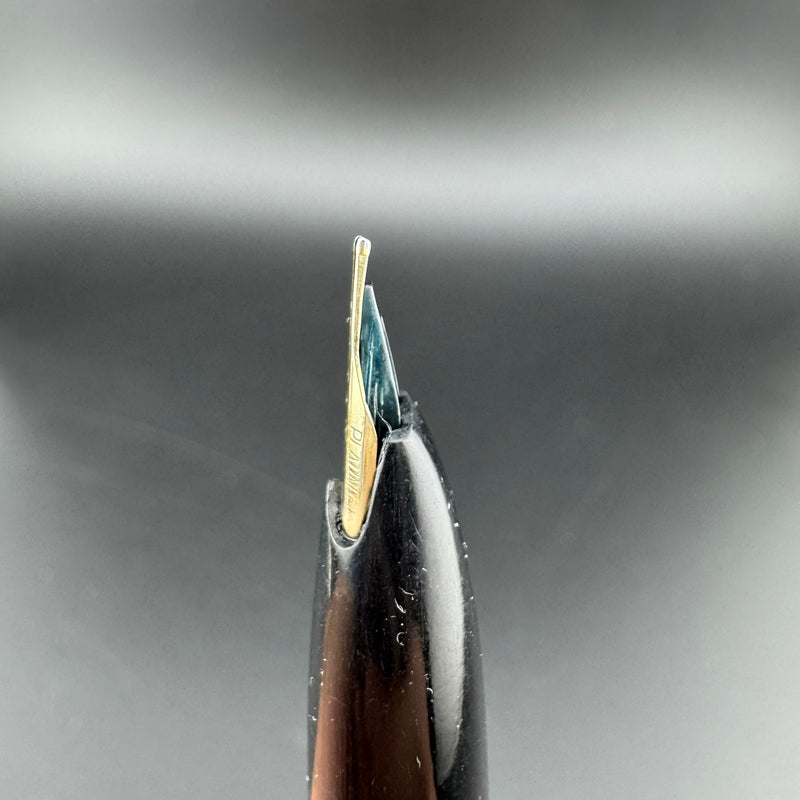 Platinum Black & Gold Pocket Fountain Pen 14K Gold Fine Nib