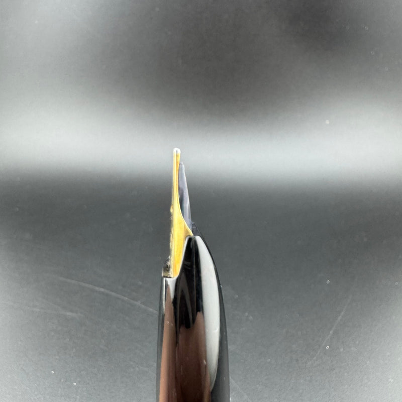 Platinum Black & Gold Pocket Fountain Pen 14K Gold Medium Nib