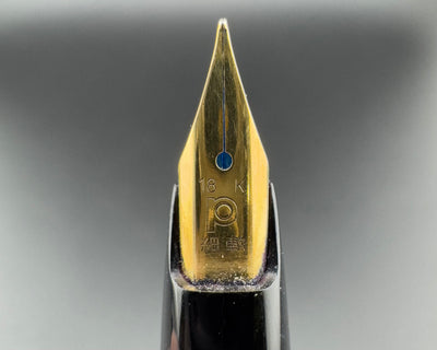 Platinum Black Stripe Pocket Fountain Pen 18K Gold Soft Fine Nib