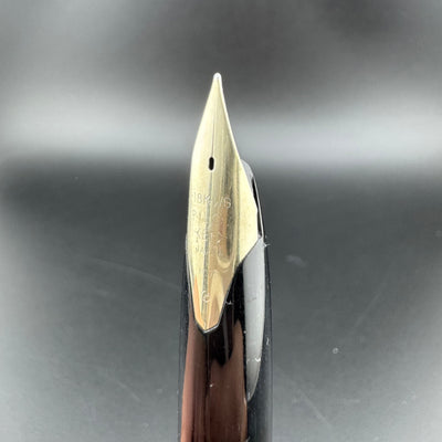 Pilot Custom K-500SS Black Stripe Fountain Pen 18K White Gold EF Nib