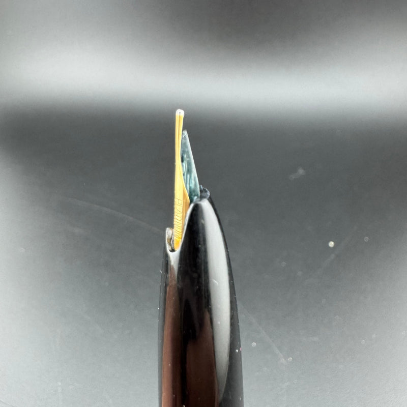 Platinum Black & Silver Pocket Fountain Pen 14K Gold Fine Nib