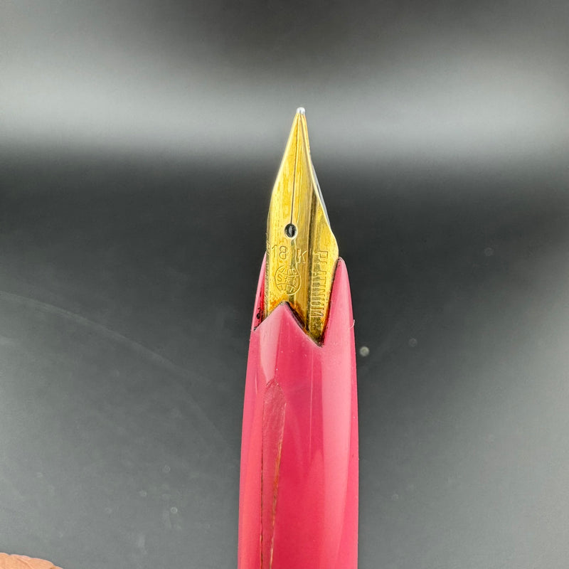 Platinum Silver & Purple Pocket Fountain Pen 18K Gold Fine Nib