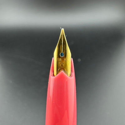 Platinum Pink & Silver Aluminum Fountain Pen 18K Gold Medium Nib