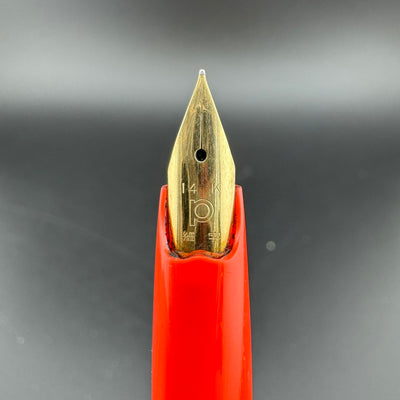 Platinum Floral Series Posies Pocket Fountain Pen 14K Gold Fine Nib