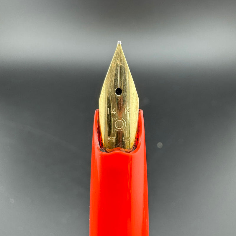 Platinum Floral Series Posies Pocket Fountain Pen 14K Gold Fine Nib