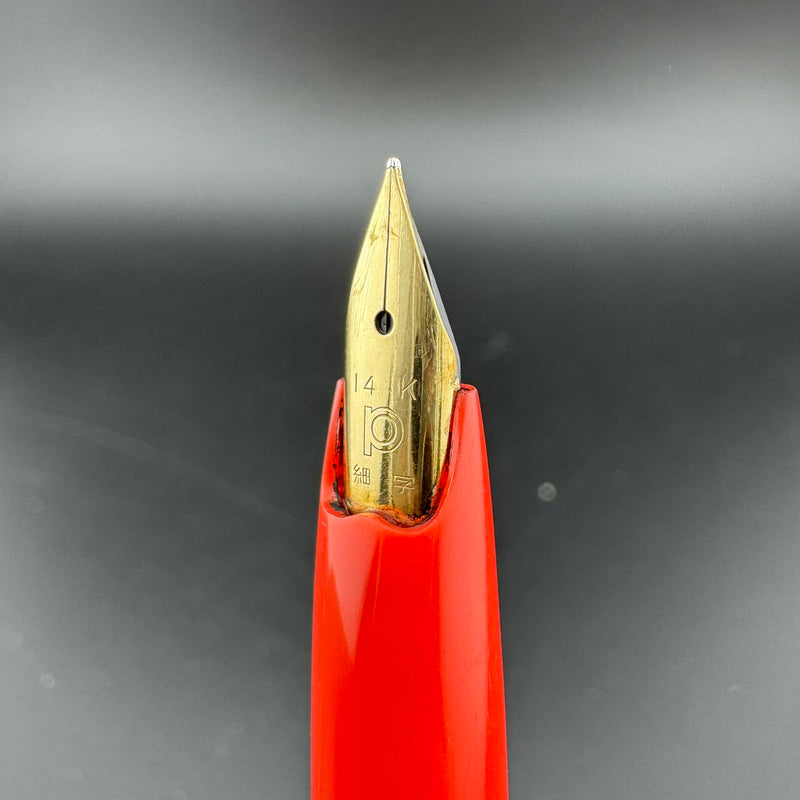 Platinum Floral Series Posies Pocket Fountain Pen 14K Gold Fine Nib