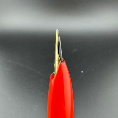 Platinum Floral Series Posies Pocket Fountain Pen 14K Gold Fine Nib