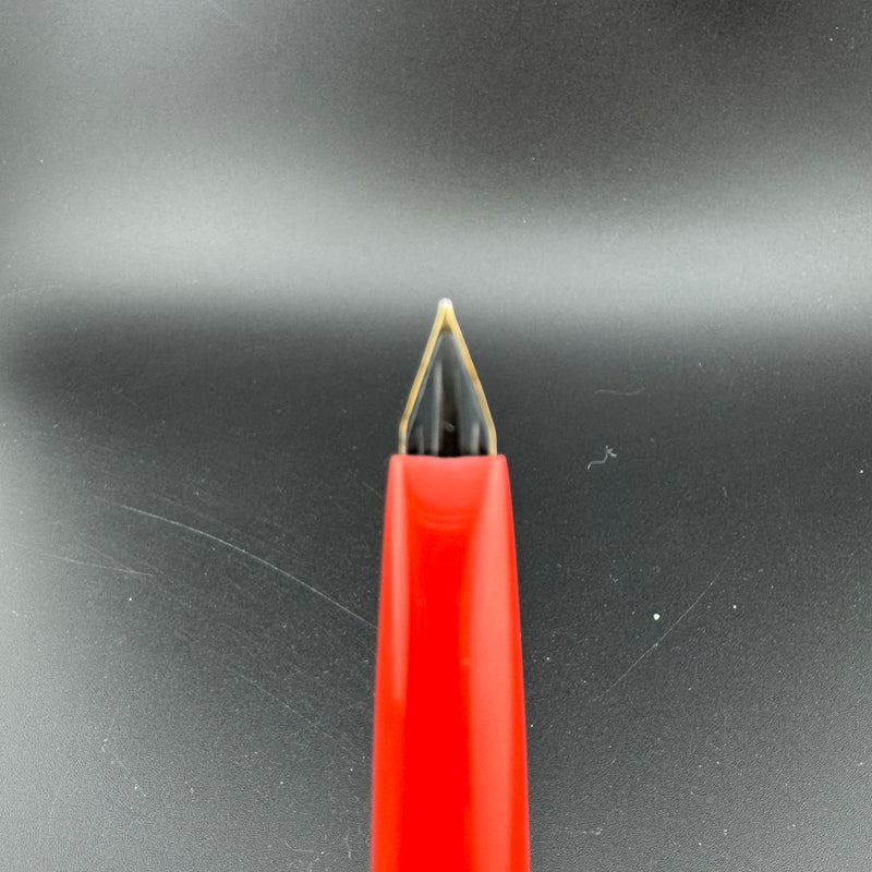 Platinum Floral Series Posies Pocket Fountain Pen 14K Gold Fine Nib