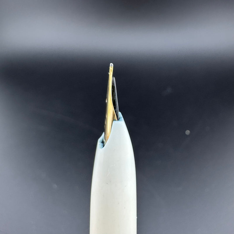 Platinum Floral Butterfly Pocket Fountain Pen 14K Gold Fine Nib