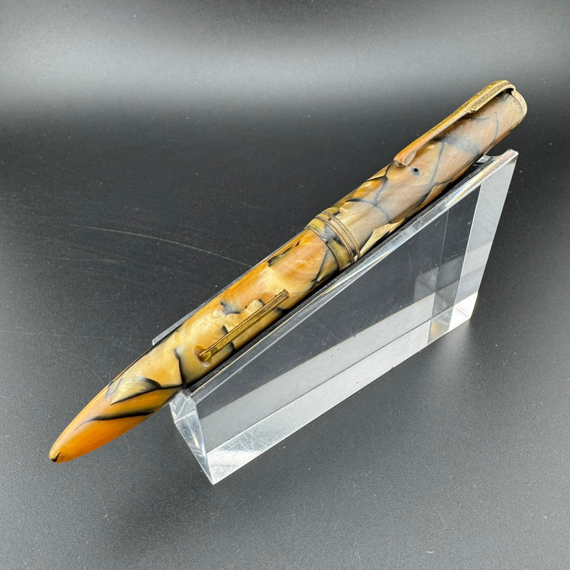 Newman Special Celluloid Lever Filler Fountain Pen Steel EF Nib Unrestored