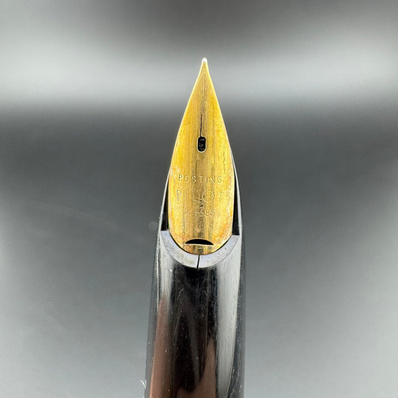 Pilot E Silver & Black Fountain Pen 14K Gold Posting Nib