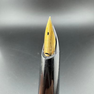 Pilot E Silver & Black Fountain Pen 14K Gold Posting Nib