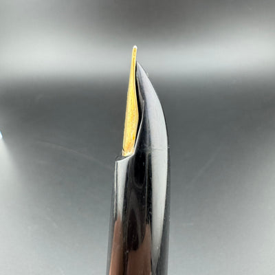 Pilot E Silver & Black Fountain Pen 14K Gold Posting Nib