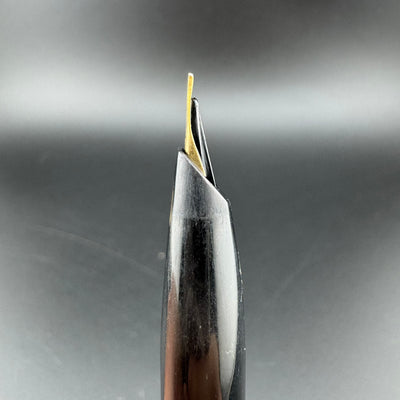 Pilot Steel & Resin Short-Long Telescoping Pocket Fountain Pen 14K Gold Fine Nib