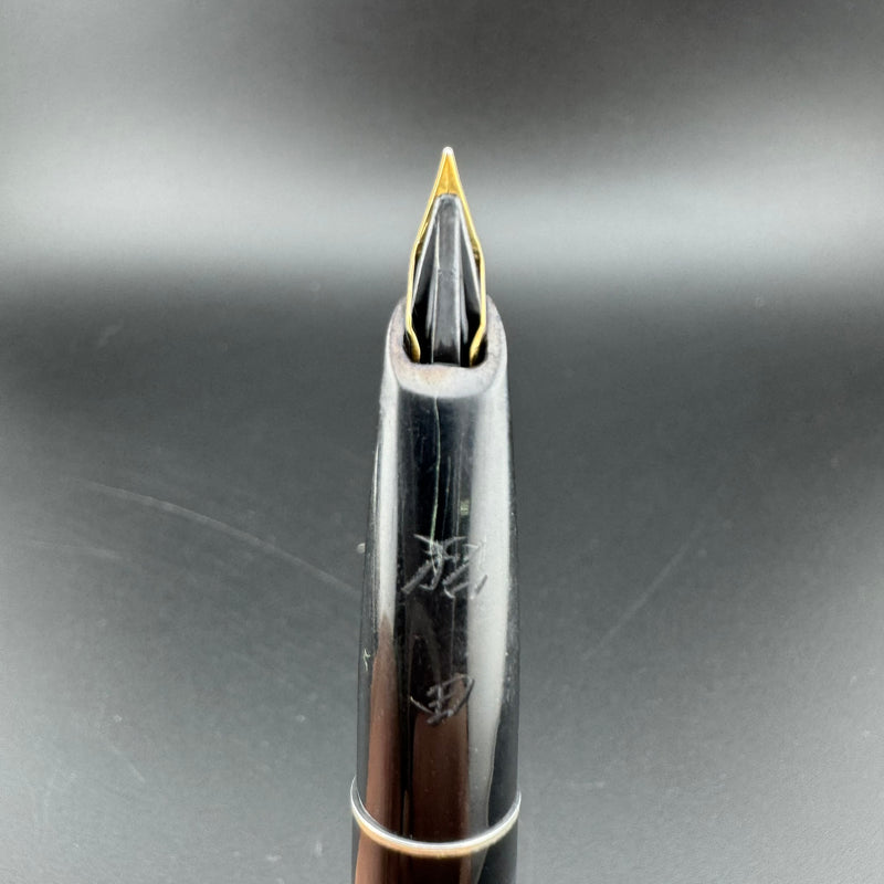 Pilot Steel & Resin Short-Long Telescoping Pocket Fountain Pen 14K Gold Fine Nib