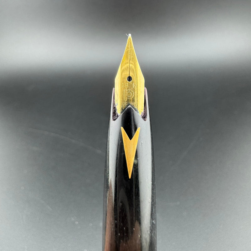 Platinum P-300 Black Resin Fountain Pen 18K Gold Soft-Fine Nib