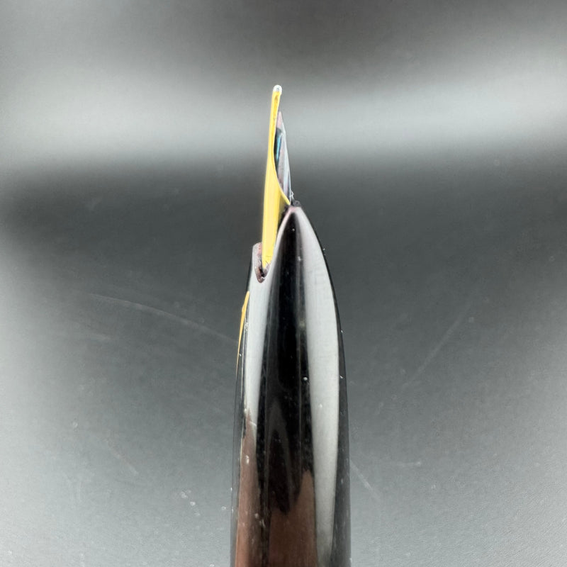 Platinum P-300 Black Resin Fountain Pen 18K Gold Soft-Fine Nib