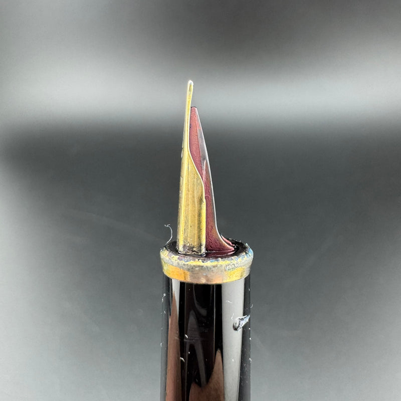 Pilot Black Resin Fountain Pen 14K Gold Fine Nib 10-81