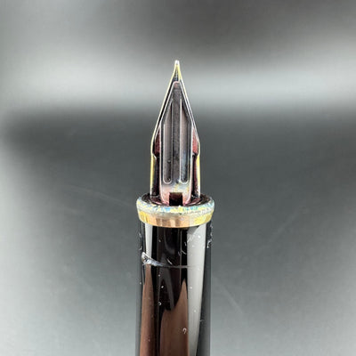 Pilot Black Resin Fountain Pen 14K Gold Fine Nib 10-81
