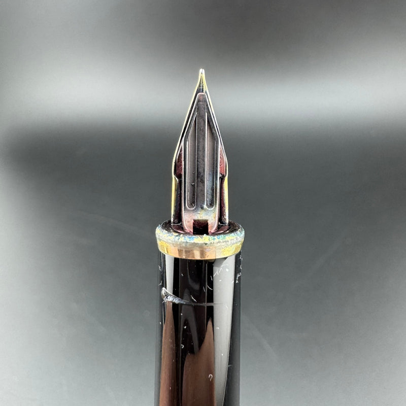 Pilot Black Resin Fountain Pen 14K Gold Fine Nib 10-81