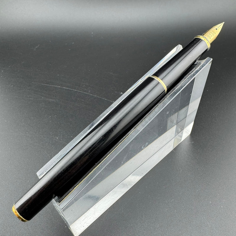 Pilot Black Resin Fountain Pen 14K Gold Fine Nib 10-81
