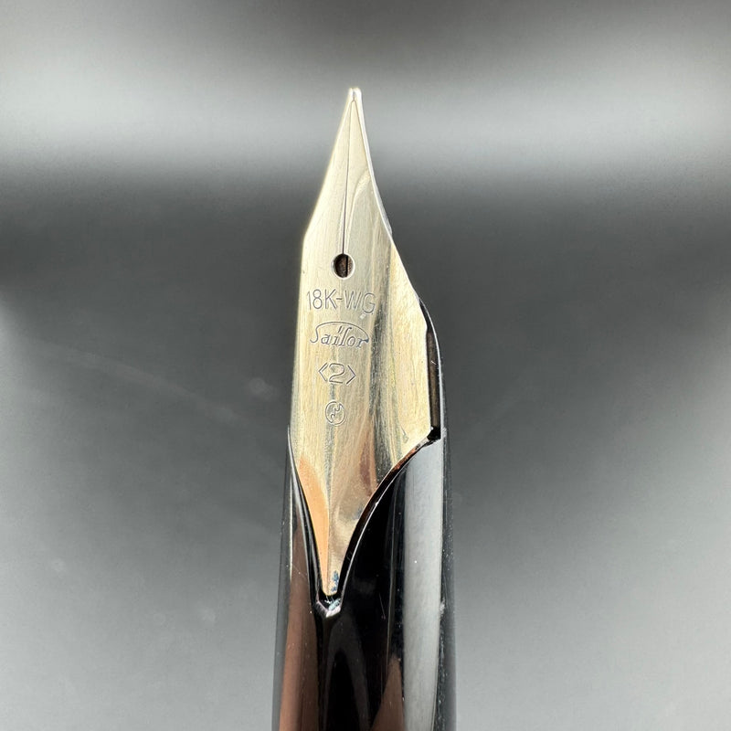 Sailor Black Stripe Stainless Steel Fountain Pen 18K WG Fine Nib