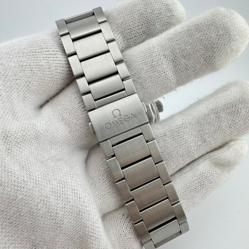 Omega Seamaster Railmaster REF 220.10.40.20.06.001 Men&