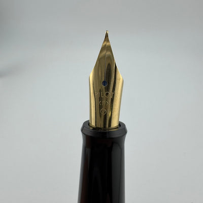 Pilot Black Resin Fountain Pen Steel Fine Nib