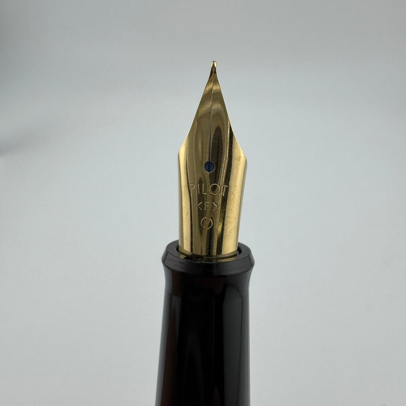Pilot Black Resin Fountain Pen Steel Fine Nib