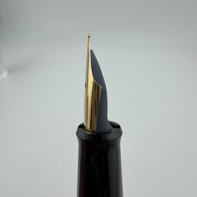 Pilot Black Resin Fountain Pen Steel Fine Nib