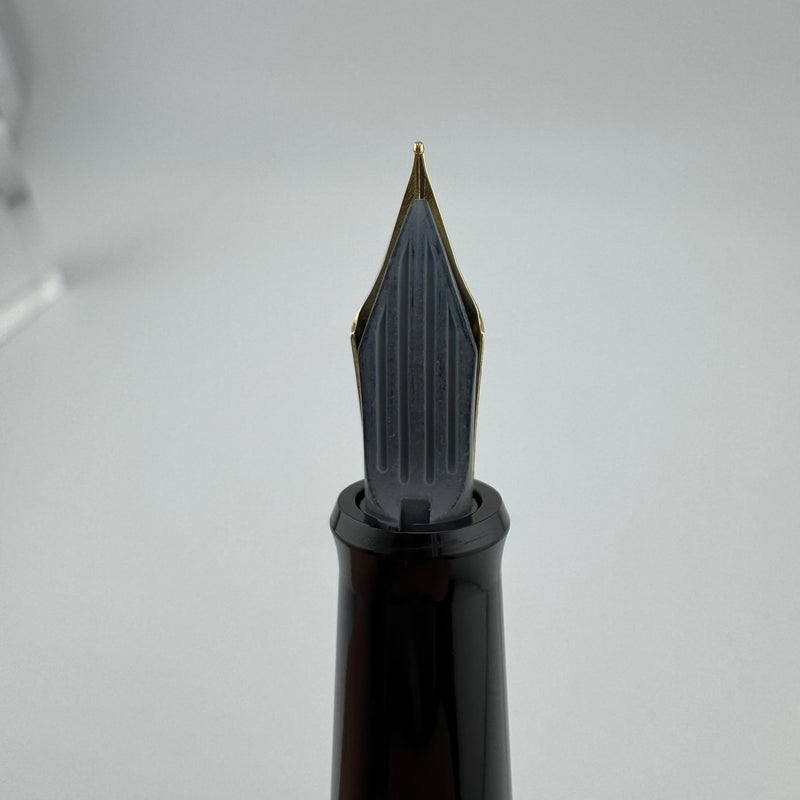 Pilot Black Resin Fountain Pen Steel Fine Nib