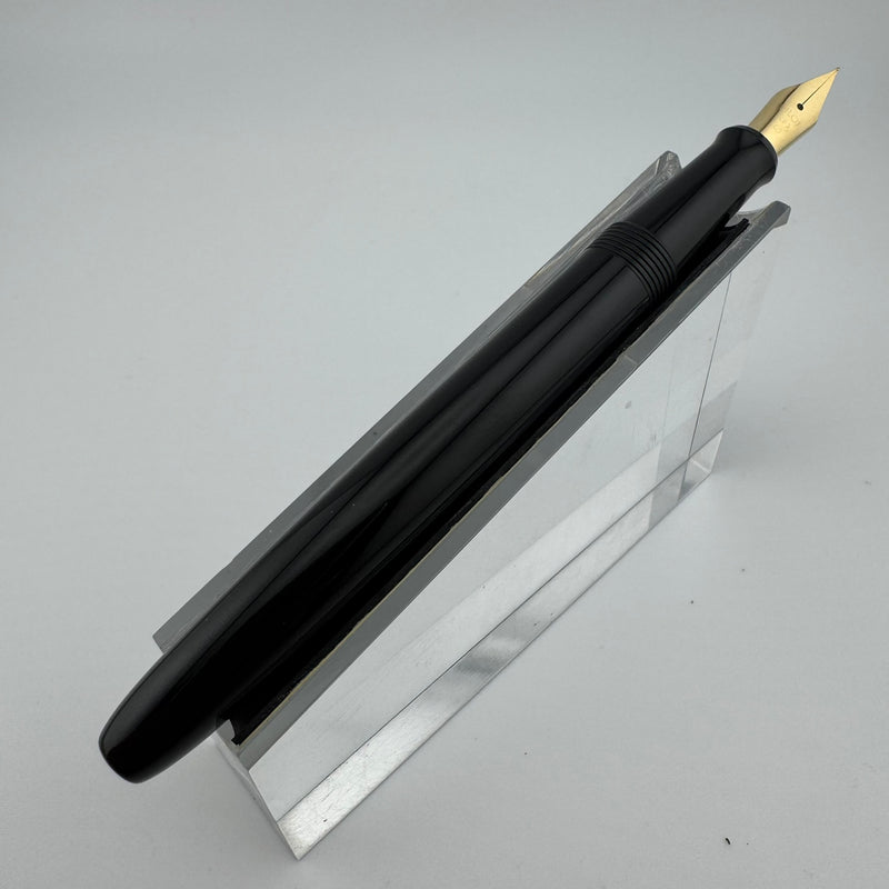 Pilot Black Resin Fountain Pen Steel Fine Nib