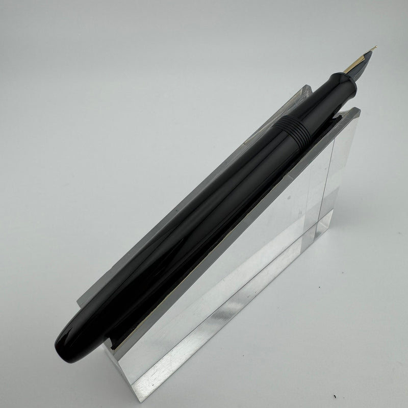 Pilot Black Resin Fountain Pen Steel Fine Nib